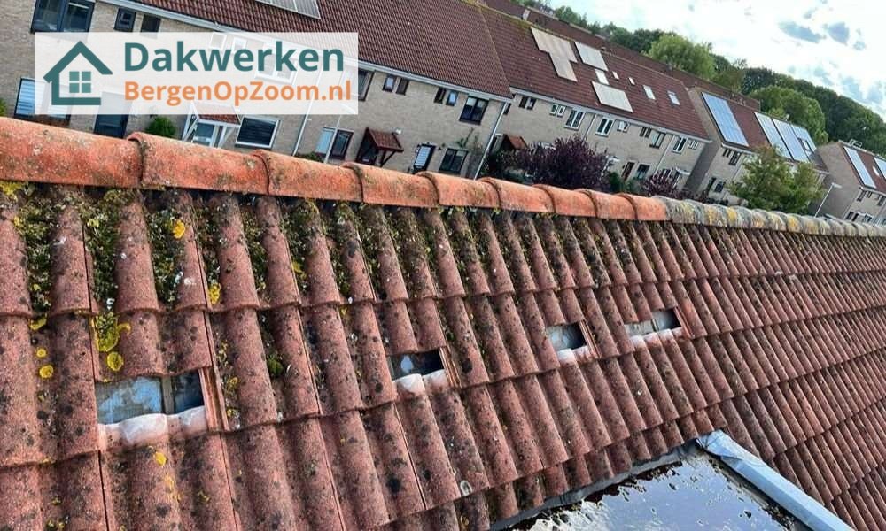 Een dakrenovatie bij oud pannendak Een dakrenovatie bij oud pannendak in Bergen op Zoom